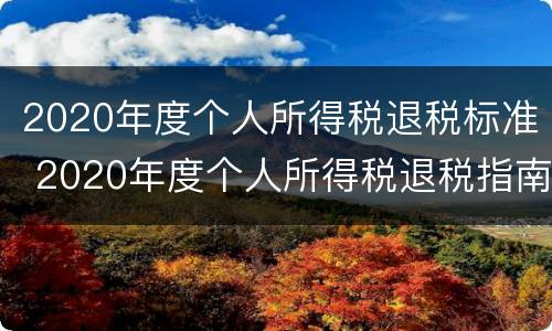 2020年度个人所得税退税标准 2020年度个人所得税退税指南