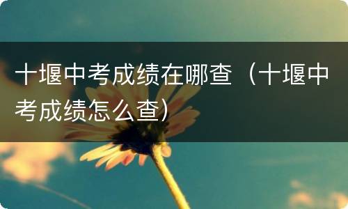 十堰中考成绩在哪查（十堰中考成绩怎么查）