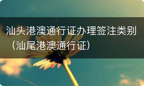 汕头港澳通行证办理签注类别（汕尾港澳通行证）