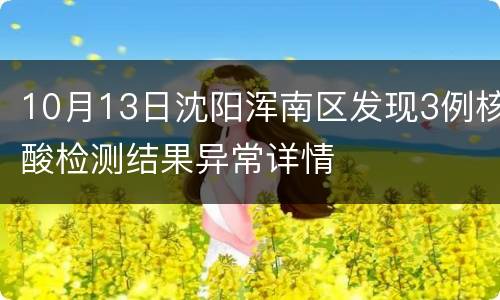 10月13日沈阳浑南区发现3例核酸检测结果异常详情