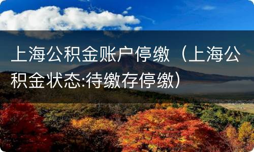 上海公积金账户停缴（上海公积金状态:待缴存停缴）