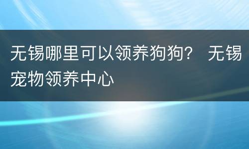 无锡哪里可以领养狗狗？ 无锡宠物领养中心