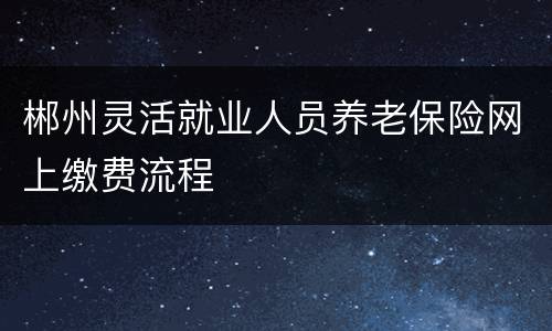郴州灵活就业人员养老保险网上缴费流程