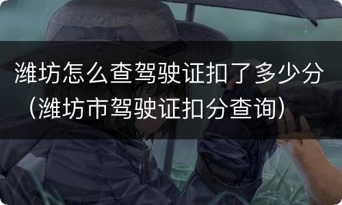潍坊怎么查驾驶证扣了多少分（潍坊市驾驶证扣分查询）