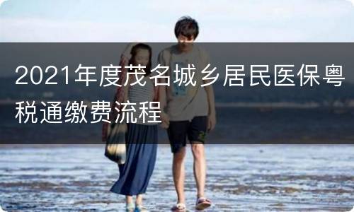 2021年度茂名城乡居民医保粤税通缴费流程
