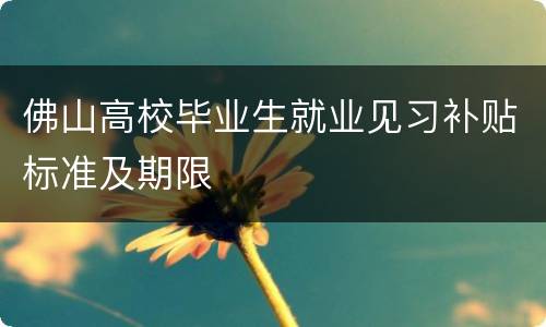 佛山高校毕业生就业见习补贴标准及期限