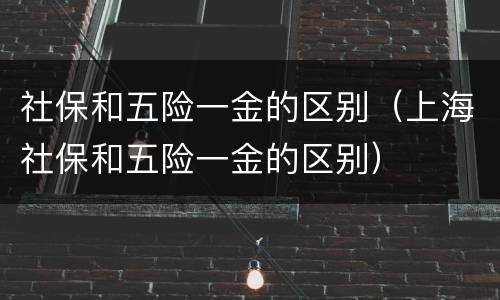 社保和五险一金的区别（上海社保和五险一金的区别）