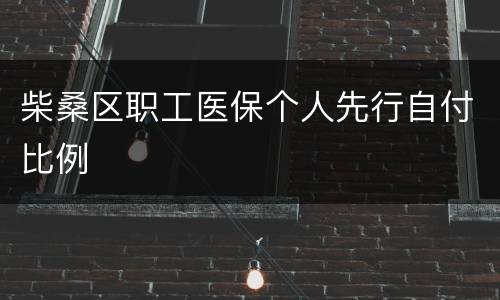 柴桑区职工医保个人先行自付比例