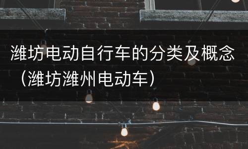 潍坊电动自行车的分类及概念（潍坊潍州电动车）