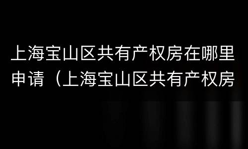 上海宝山区共有产权房在哪里申请（上海宝山区共有产权房价格）
