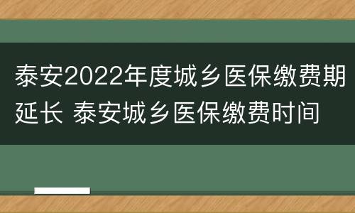 泰安2022年度城乡医保缴费期延长 泰安城乡医保缴费时间