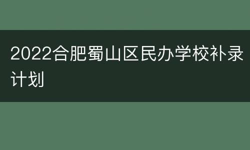 2022合肥蜀山区民办学校补录计划