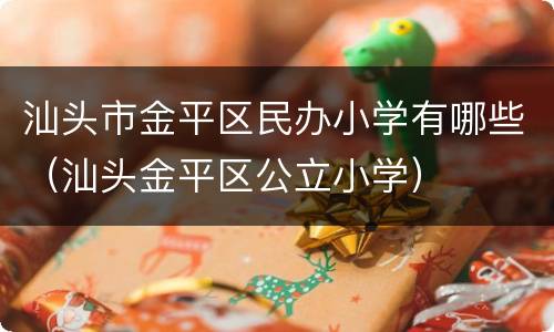 汕头市金平区民办小学有哪些（汕头金平区公立小学）