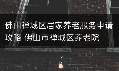 佛山禅城区居家养老服务申请攻略 佛山市禅城区养老院