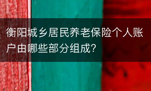 衡阳城乡居民养老保险个人账户由哪些部分组成?