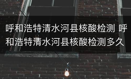 呼和浩特清水河县核酸检测 呼和浩特清水河县核酸检测多久出结果