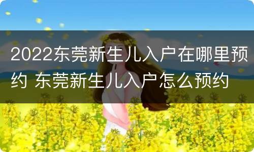 2022东莞新生儿入户在哪里预约 东莞新生儿入户怎么预约