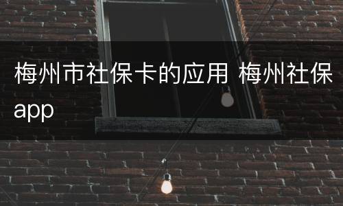 梅州市社保卡的应用 梅州社保app