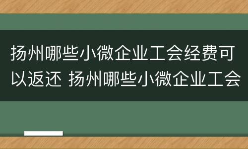 扬州哪些小微企业工会经费可以返还 扬州哪些小微企业工会经费可以返还给员工