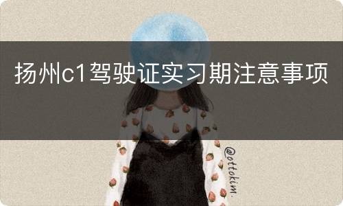 扬州c1驾驶证实习期注意事项
