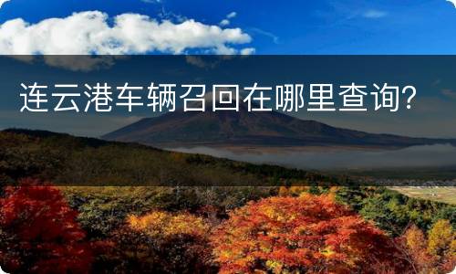 连云港车辆召回在哪里查询？