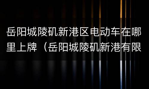 岳阳城陵矶新港区电动车在哪里上牌（岳阳城陵矶新港有限公司地址）