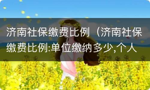 济南社保缴费比例（济南社保缴费比例:单位缴纳多少,个人缴纳多少）