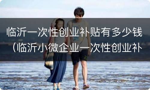 临沂一次性创业补贴有多少钱（临沂小微企业一次性创业补贴）