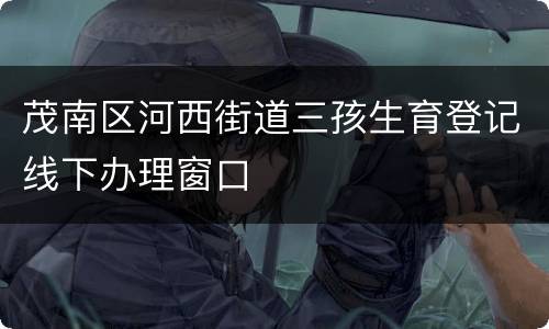 茂南区河西街道三孩生育登记线下办理窗口