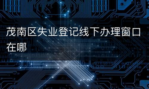 茂南区失业登记线下办理窗口在哪