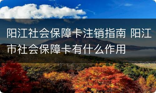 阳江社会保障卡注销指南 阳江市社会保障卡有什么作用