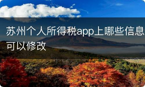 苏州个人所得税app上哪些信息可以修改