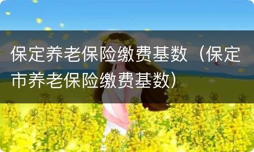 保定养老保险缴费基数（保定市养老保险缴费基数）