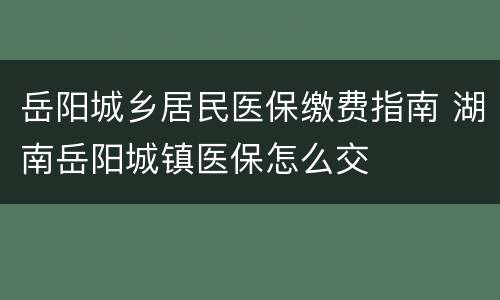 岳阳城乡居民医保缴费指南 湖南岳阳城镇医保怎么交
