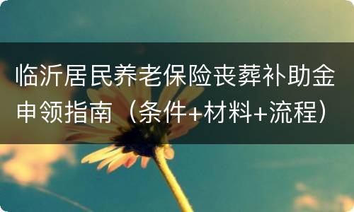 临沂居民养老保险丧葬补助金申领指南（条件+材料+流程）