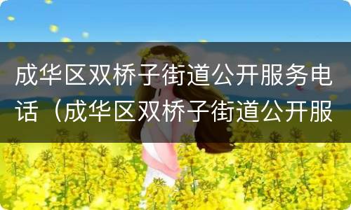 成华区双桥子街道公开服务电话（成华区双桥子街道公开服务电话查询）