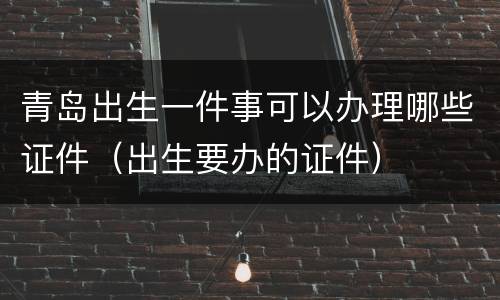 青岛出生一件事可以办理哪些证件（出生要办的证件）