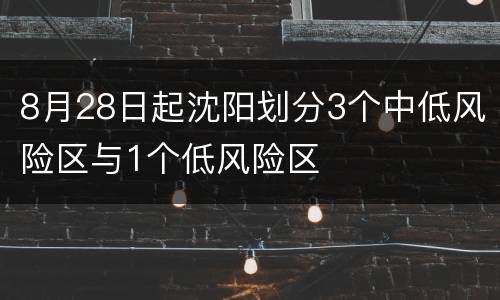 8月28日起沈阳划分3个中低风险区与1个低风险区