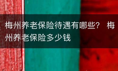 梅州养老保险待遇有哪些？ 梅州养老保险多少钱