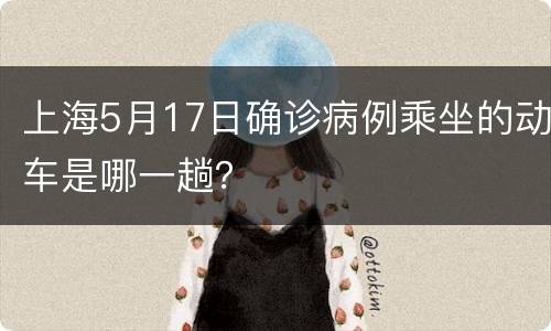 上海5月17日确诊病例乘坐的动车是哪一趟？