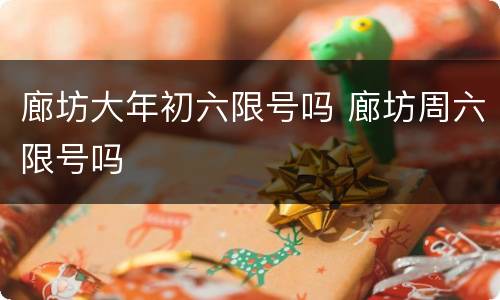 廊坊大年初六限号吗 廊坊周六限号吗
