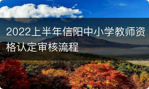2022上半年信阳中小学教师资格认定审核流程