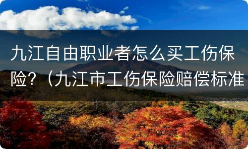 九江自由职业者怎么买工伤保险?（九江市工伤保险赔偿标准）