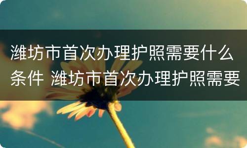 潍坊市首次办理护照需要什么条件 潍坊市首次办理护照需要什么条件和手续