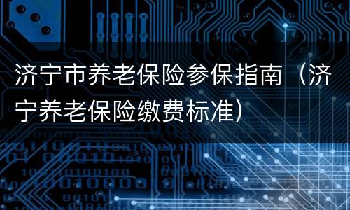 济宁市养老保险参保指南（济宁养老保险缴费标准）
