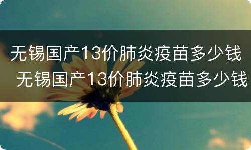无锡国产13价肺炎疫苗多少钱 无锡国产13价肺炎疫苗多少钱一支