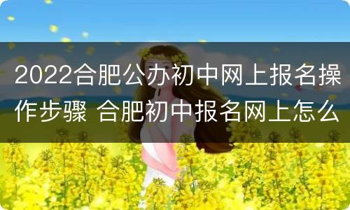 2022合肥公办初中网上报名操作步骤 合肥初中报名网上怎么报