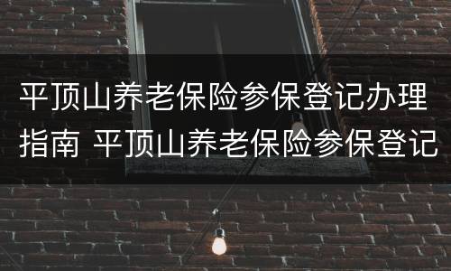 平顶山养老保险参保登记办理指南 平顶山养老保险参保登记办理指南查询