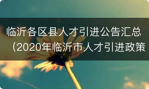 临沂各区县人才引进公告汇总（2020年临沂市人才引进政策）