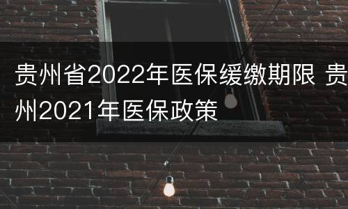 贵州省2022年医保缓缴期限 贵州2021年医保政策